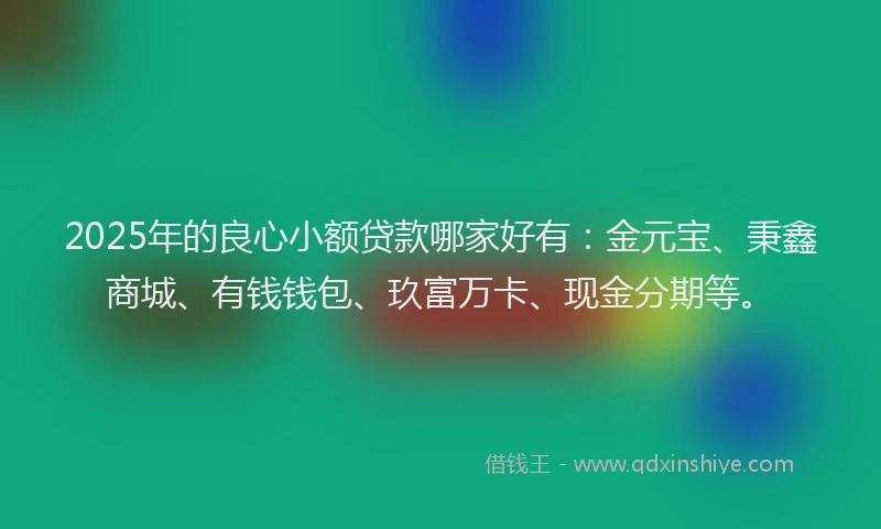 2025年的良心小额贷款哪家好有：金元宝、秉鑫商城、有钱钱包、玖富万卡、现金分期等。