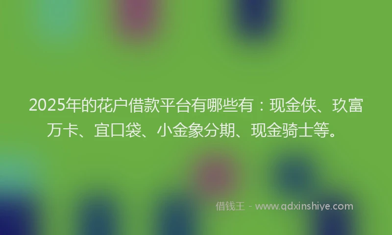 2025年的花户借款平台有哪些有：现金侠、玖富万卡、宜口袋、小金象分期、现金骑士等。