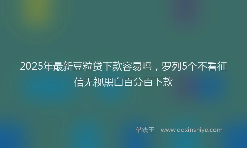 2025年最新豆粒贷下款容易吗，罗列5个不看征信无视黑白百分百下款