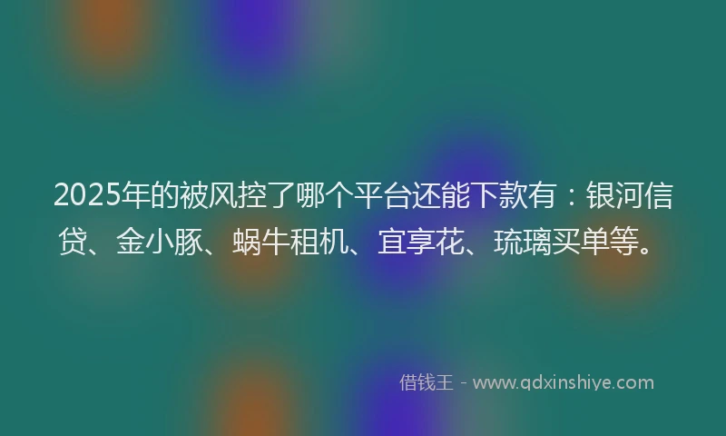2025年的被风控了哪个平台还能下款有：银河信贷、金小豚、蜗牛租机、宜享花、琉璃买单等。