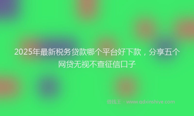 2025年最新税务贷款哪个平台好下款，分享五个网贷无视不查征信口子