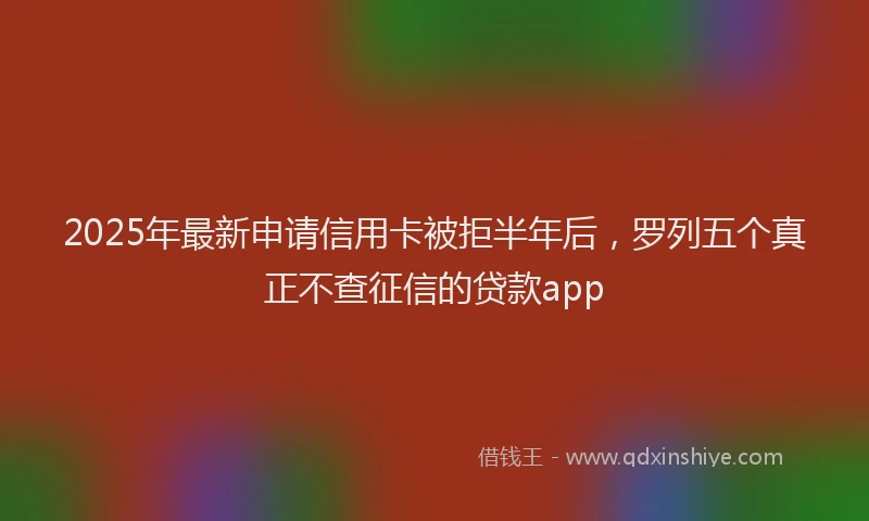 2025年最新申请信用卡被拒半年后，罗列五个真正不查征信的贷款app