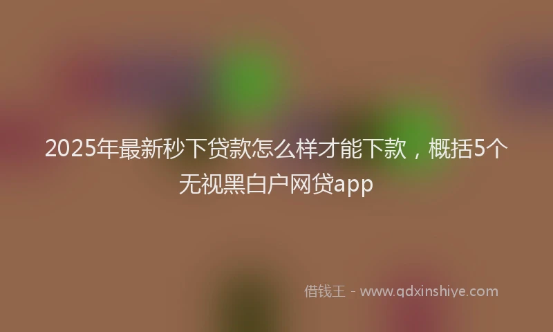 2025年最新秒下贷款怎么样才能下款，概括5个无视黑白户网贷app
