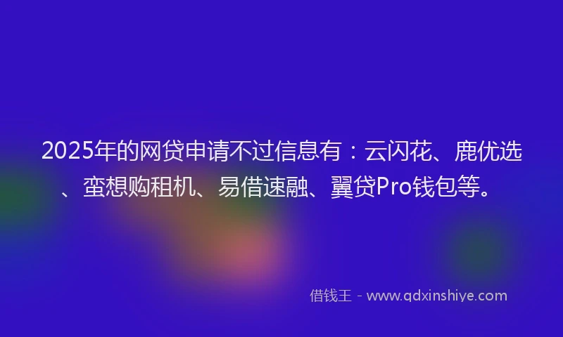 2025年的网贷申请不过信息有：云闪花、鹿优选、蛮想购租机、易借速融、翼贷Pro钱包等。