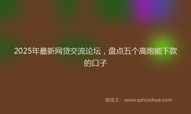 2025年最新网贷交流论坛，盘点五个高炮能下款的口子