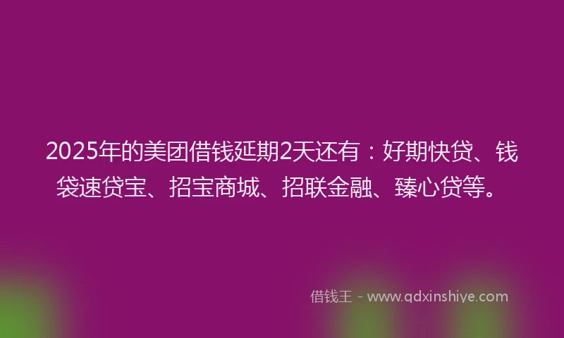 2025年的美团借钱延期2天还有：好期快贷、钱袋速贷宝、招宝商城、招联金融、臻心贷等。