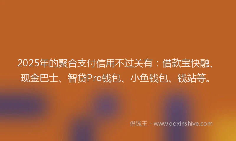 2025年的聚合支付信用不过关有：借款宝快融、现金巴士、智贷Pro钱包、小鱼钱包、钱站等。