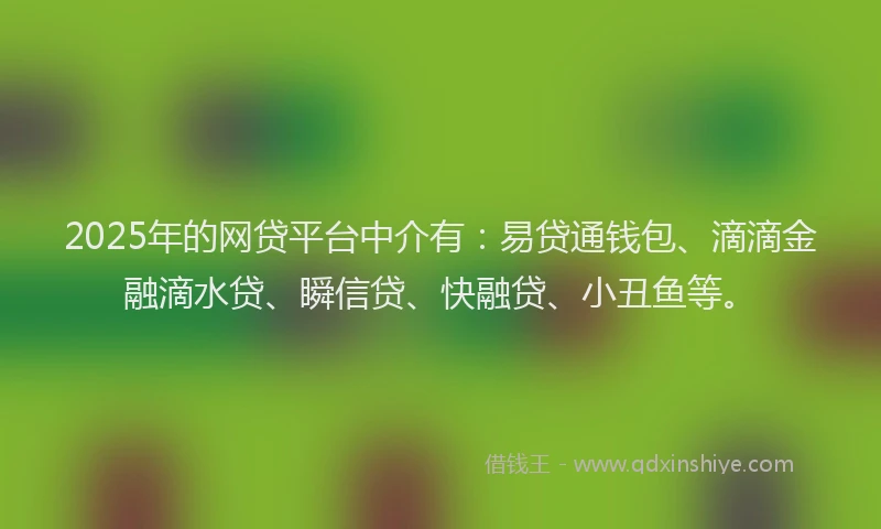 2025年的网贷平台中介有：易贷通钱包、滴滴金融滴水贷、瞬信贷、快融贷、小丑鱼等。