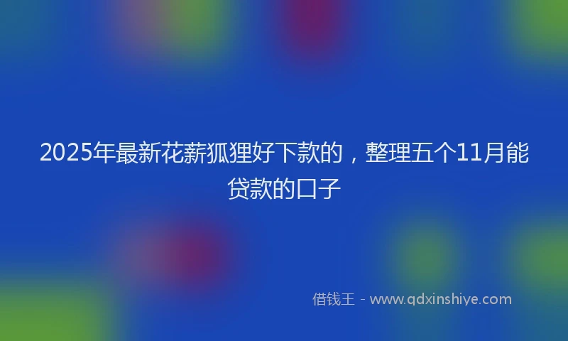 2025年最新花薪狐狸好下款的，整理五个11月能贷款的口子