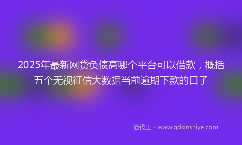 2025年最新网贷负债高哪个平台可以借款，概括五个无视征信大数据当前逾期下款的口子