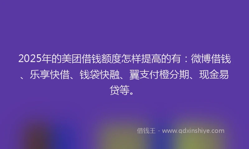 2025年的美团借钱额度怎样提高的有：微博借钱、乐享快借、钱袋快融、翼支付橙分期、现金易贷等。