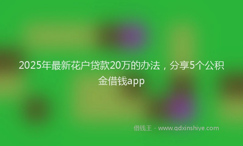 2025年最新花户贷款20万的办法，分享5个公积金借钱app