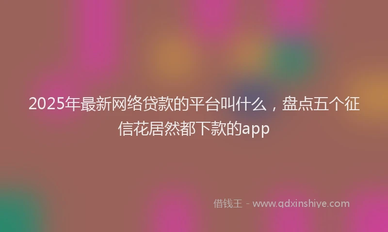 2025年最新网络贷款的平台叫什么，盘点五个征信花居然都下款的app