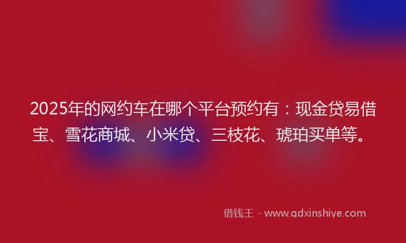 2025年的网约车在哪个平台预约有：现金贷易借宝、雪花商城、小米贷、三枝花、琥珀买单等。