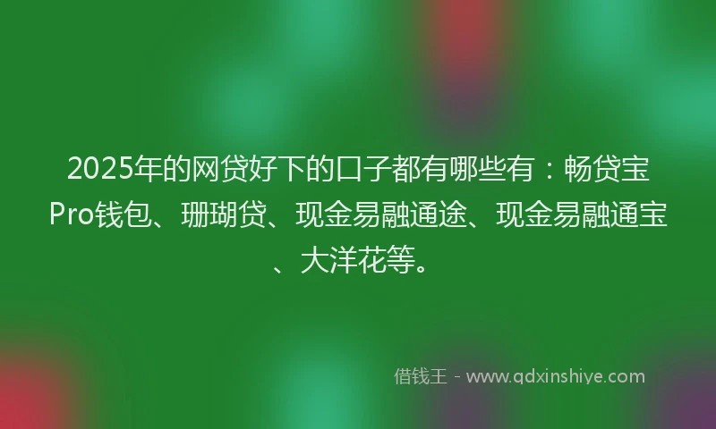 2025年的网贷好下的口子都有哪些有：畅贷宝Pro钱包、珊瑚贷、现金易融通途、现金易融通宝、大洋花等。