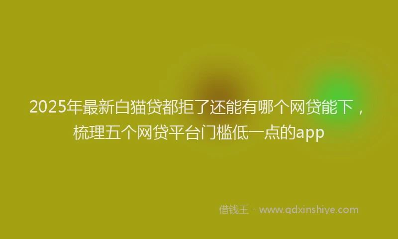 2025年最新白猫贷都拒了还能有哪个网贷能下，梳理五个网贷平台门槛低一点的app