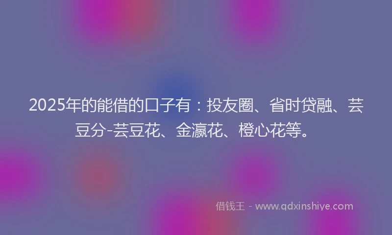 2025年的能借的口子有：投友圈、省时贷融、芸豆分-芸豆花、金瀛花、橙心花等。