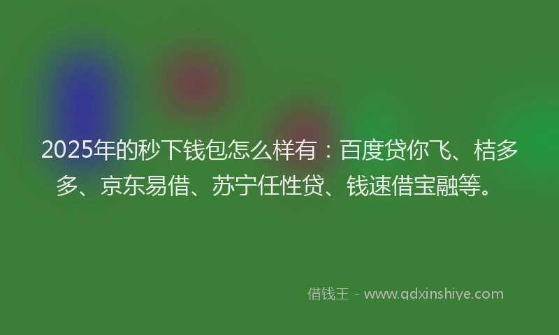 2025年的秒下钱包怎么样有：百度贷你飞、桔多多、京东易借、苏宁任性贷、钱速借宝融等。