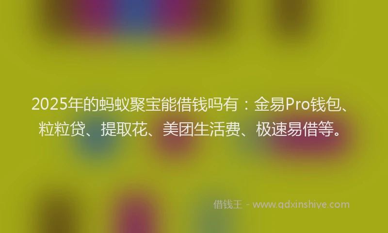 2025年的蚂蚁聚宝能借钱吗有：金易Pro钱包、粒粒贷、提取花、美团生活费、极速易借等。