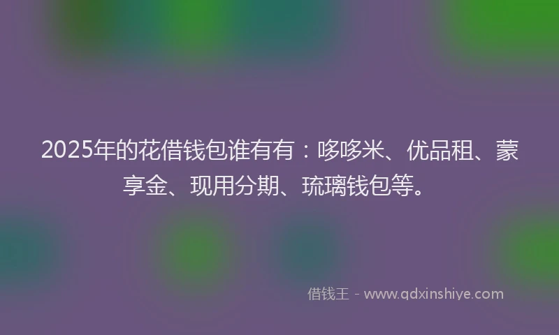 2025年的花借钱包谁有有：哆哆米、优品租、蒙享金、现用分期、琉璃钱包等。