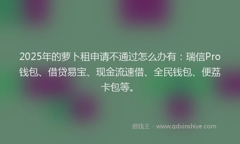 2025年的萝卜租申请不通过怎么办有：瑞信Pro钱包、借贷易宝、现金流速借、全民钱包、便荔卡包等。