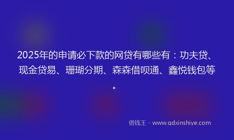 2025年的申请必下款的网贷有哪些有：功夫贷、现金贷易、珊瑚分期、森森借呗通、鑫悦钱包等。