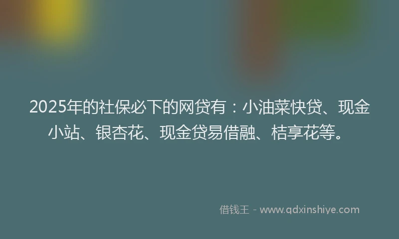 2025年的社保必下的网贷有：小油菜快贷、现金小站、银杏花、现金贷易借融、桔享花等。
