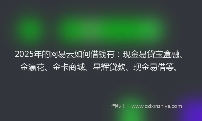 2025年的网易云如何借钱有：现金易贷宝盒融、金瀛花、金卡商城、星辉贷款、现金易借等。