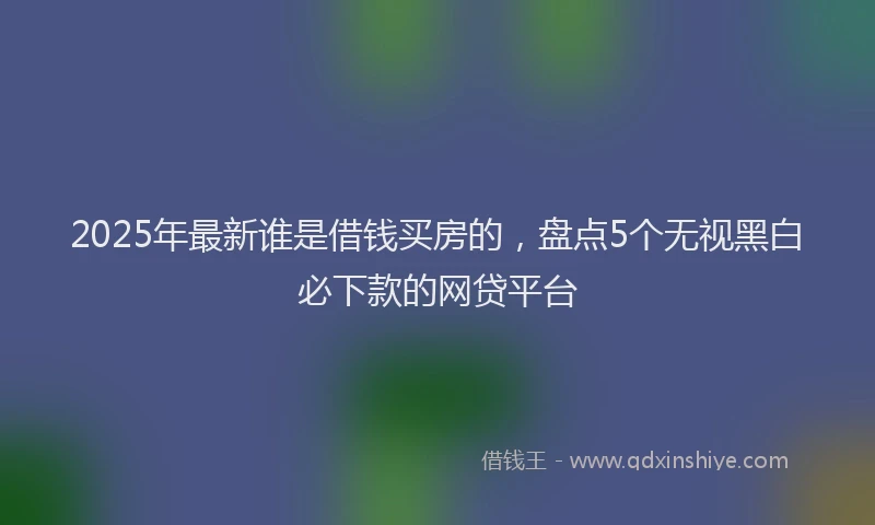 2025年最新谁是借钱买房的，盘点5个无视黑白必下款的网贷平台
