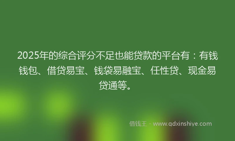 2025年的综合评分不足也能贷款的平台有：有钱钱包、借贷易宝、钱袋易融宝、任性贷、现金易贷通等。