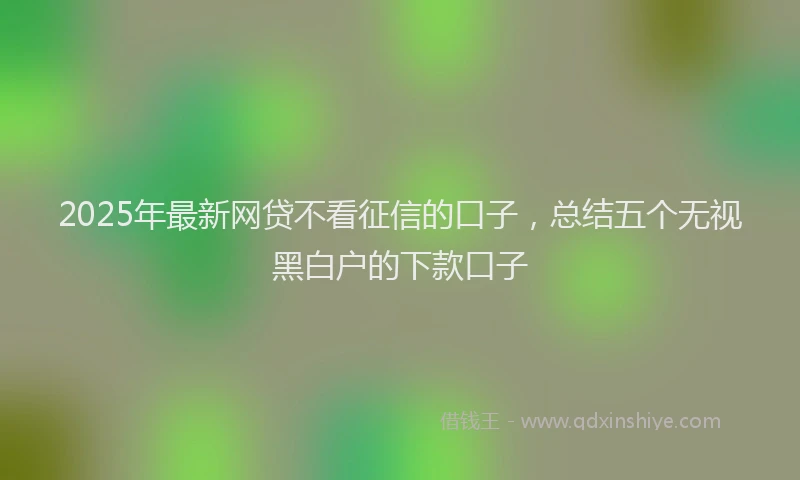 2025年最新网贷不看征信的口子，总结五个无视黑白户的下款口子