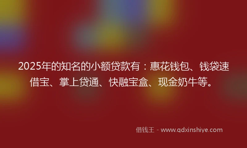 2025年的知名的小额贷款有：惠花钱包、钱袋速借宝、掌上贷通、快融宝盒、现金奶牛等。