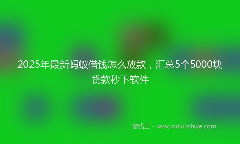 2025年最新蚂蚁借钱怎么放款，汇总5个5000块贷款秒下软件