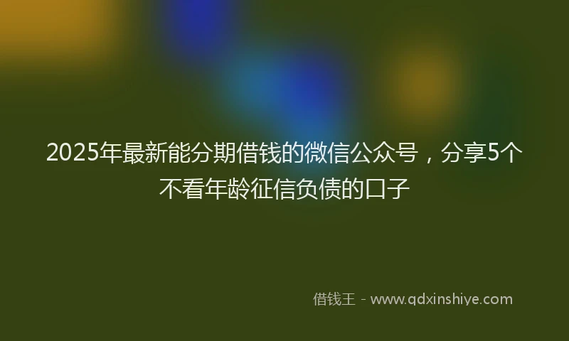 2025年最新能分期借钱的微信公众号，分享5个不看年龄征信负债的口子