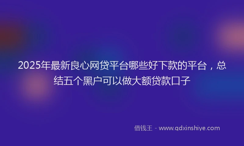 2025年最新良心网贷平台哪些好下款的平台，总结五个黑户可以做大额贷款口子