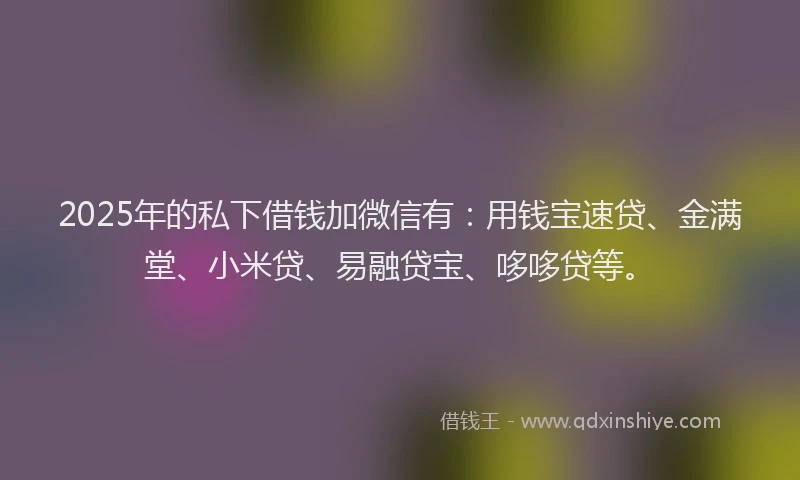 2025年的私下借钱加微信有：用钱宝速贷、金满堂、小米贷、易融贷宝、哆哆贷等。