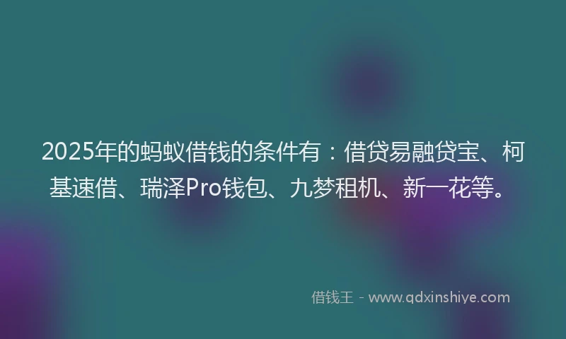 2025年的蚂蚁借钱的条件有：借贷易融贷宝、柯基速借、瑞泽Pro钱包、九梦租机、新一花等。
