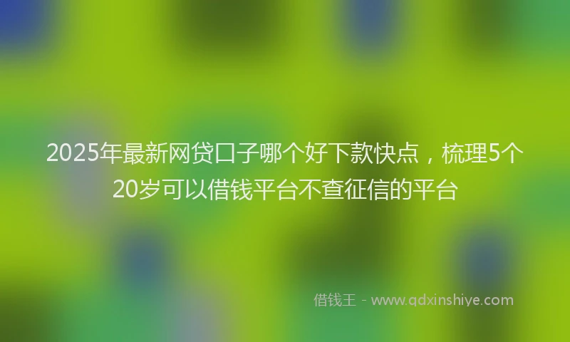 2025年最新网贷口子哪个好下款快点，梳理5个20岁可以借钱平台不查征信的平台