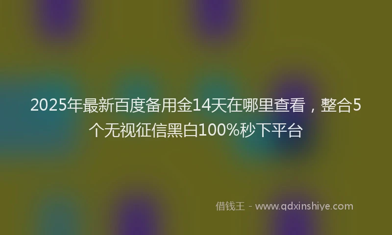 2025年最新百度备用金14天在哪里查看，整合5个无视征信黑白100%秒下平台