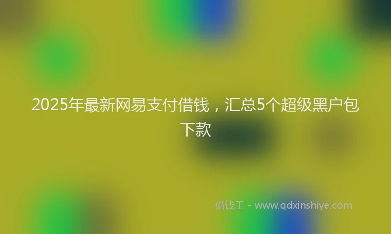 2025年最新网易支付借钱，汇总5个超级黑户包下款