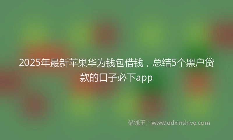 2025年最新苹果华为钱包借钱，总结5个黑户贷款的口子必下app