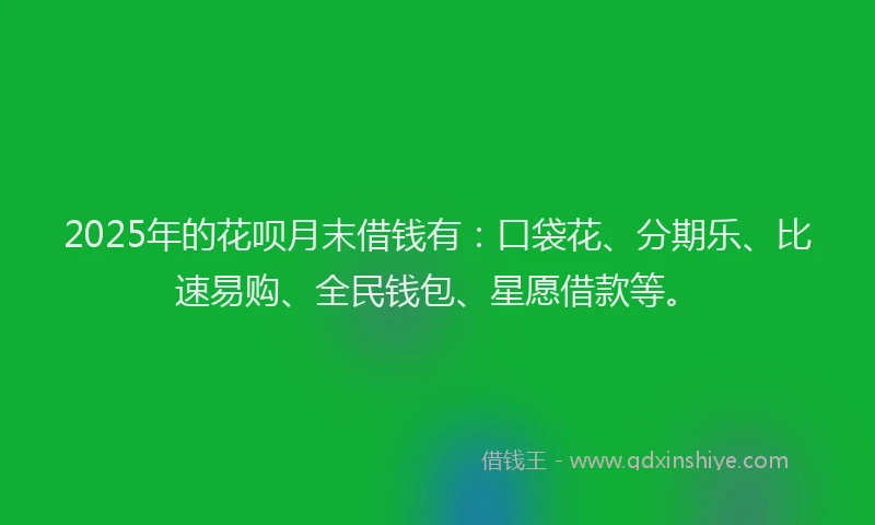 2025年的花呗月末借钱有：口袋花、分期乐、比速易购、全民钱包、星愿借款等。
