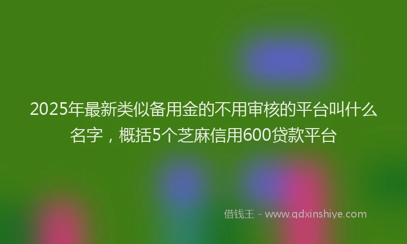 2025年最新类似备用金的不用审核的平台叫什么名字，概括5个芝麻信用600贷款平台