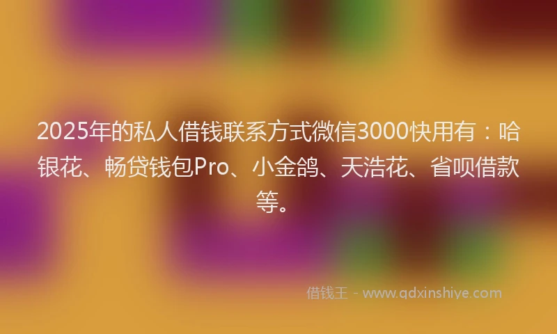 2025年的私人借钱联系方式微信3000快用有：哈银花、畅贷钱包Pro、小金鸽、天浩花、省呗借款等。