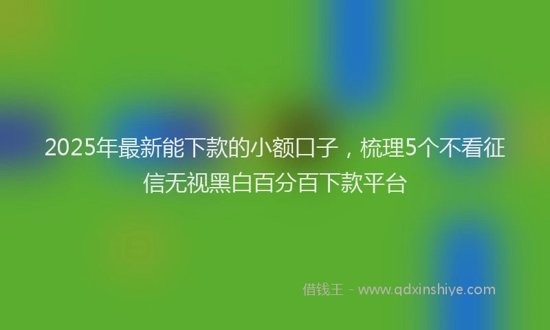 2025年最新能下款的小额口子，梳理5个不看征信无视黑白百分百下款平台