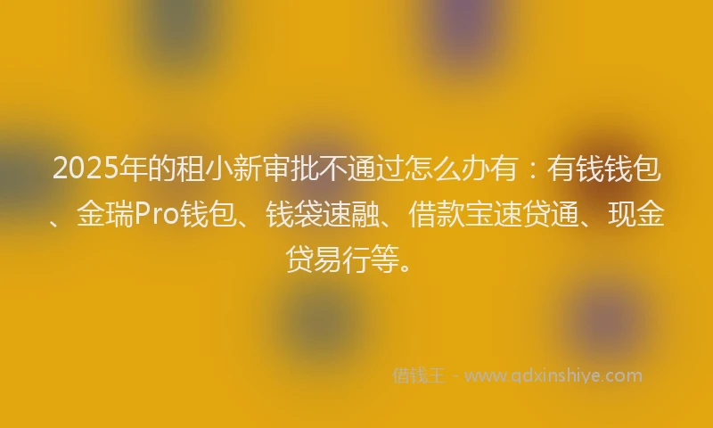 2025年的租小新审批不通过怎么办有：有钱钱包、金瑞Pro钱包、钱袋速融、借款宝速贷通、现金贷易行等。