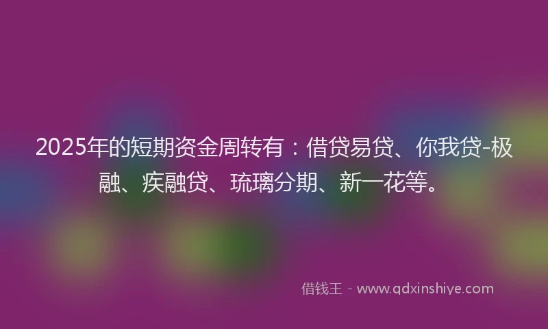 2025年的短期资金周转有：借贷易贷、你我贷-极融、疾融贷、琉璃分期、新一花等。