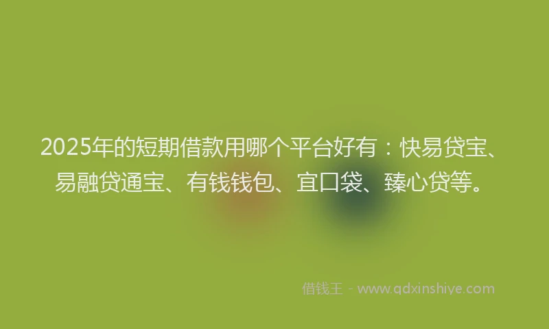2025年的短期借款用哪个平台好有：快易贷宝、易融贷通宝、有钱钱包、宜口袋、臻心贷等。