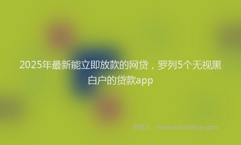 2025年最新能立即放款的网贷，罗列5个无视黑白户的贷款app