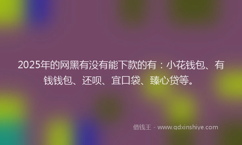 2025年的网黑有没有能下款的有：小花钱包、有钱钱包、还呗、宜口袋、臻心贷等。
